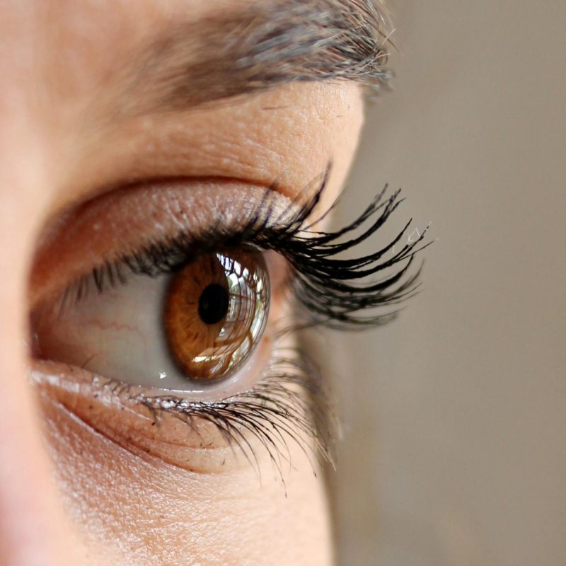 brows and lashes brows and lashes